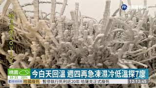 今白天回溫 週四再急凍濕冷低溫探7度｜華視新聞 20210103