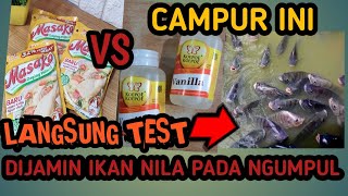 AMPUH !!  DUA CAMPUR INI UNTUK MANCING IKAN  NILA LIAR DAN BABON