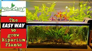 EASY WAY to Grow Houseplants in your Fish Tank, Poth-O-Carry product review! 4 different models