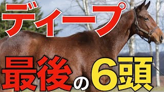 【最後の衝撃】ディープインパクトの日本産ラストクロップを探る！最も走るのはどの馬か。【一口馬主】