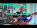 Christian Valentin  | Natural Temper (Original Song)