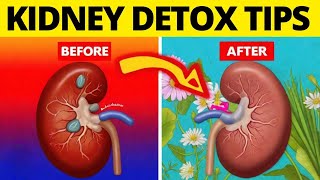 7 Ways to Detox and Cleanse Your Kidneys Naturally