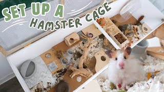 Set up a 6ft Hamster Cage with me! 🐹