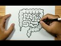 How to draw INTESTINES EASY