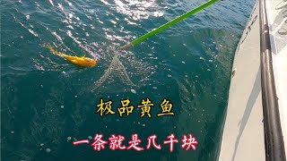 40多海里外的海礁，釣魚人的夢幻釣场，冬季的海礁顯得格外熱鬧