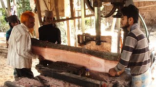 Chainsaw wood cutting #chainsaw #woodcutting #skills