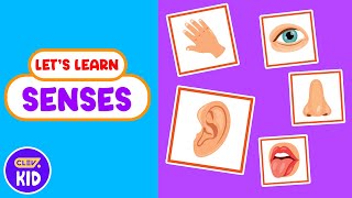 ClevKid | Learn About the 5 Senses for Kids, Toddlers \u0026 Preschool