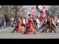 20131103第12回ドリーム夜さ来い祭り（ところざわ武蔵瀧嵐　ダイバーシティ東京会場）