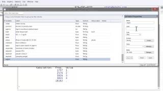 Stata Tutorial: Adding Variable and Value Labels
