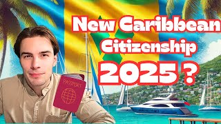 New Caribbean Citizenship Program in 2025 Discover St  Vincent's Plan!