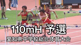 【第77回愛知県中学校総合体育大会】110mH 予選#陸上 #陸上競技 #ハードル #110mh #陸上競技大会#中学生#trackandfield #110mhurdles