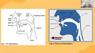 Phonetics II Consonants II Place of Articulation