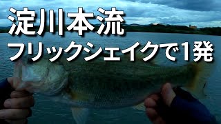 淀川本流、フリックシェイクで1発！