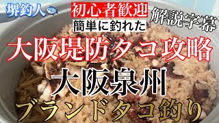 大阪堤防タコ釣り攻略　ブランド泉州タコを確保せよ