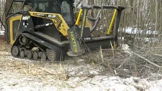 Forestry Mulcher In Action - CT \u0026 MA Land Clearing \u0026 Brush Control