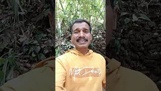 സ്വാമി അയ്യപ്പാ... തെലുഗ് സോങ് thelugu ayyappa song.