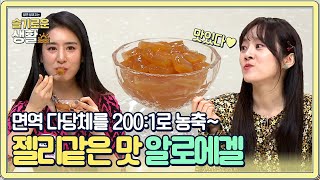 면역 다당체를 200 1로 농축한 알로에겔, 맛도 있대요…☆#슬기로운생활 | wisereview EP.8 | Olive 210111 방송