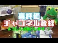 【ナニワペンショー】購入品紹介！散財したけど後悔は無し！【宇宙遊泳】