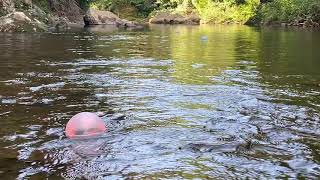 Speculator major Popup Installations - Kaitoke Hutt River #2