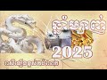 រាសីឆ្នាំម្សាញ់ 2025 snake for 2025 horoscope