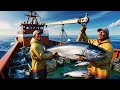 Exploring the Industry of Sea Cage Salmon Farming in Norway