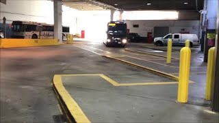 Greyhound #1684 is Servicing Walter Rand Transportation Center!