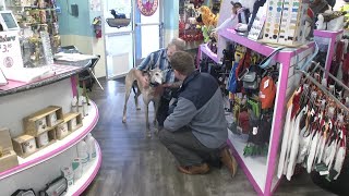 Higher minimum wage, sick leave & employee rights: Alaska voters consider Ballot Measure 1