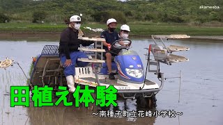 花峰小学校令和4年度田植え体験・田植え機試乗・手植え体験～種子島の学校活動