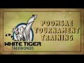 Poomse Tournament Training @ White Tiger Martial Arts