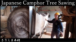 ＃4【製材】楠kusu　巨木　Giant Japanese Camphor Tree Sawing