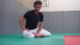 Aiki Taiso Body workout mobility \u0026 flexibility - Xavier Dufau