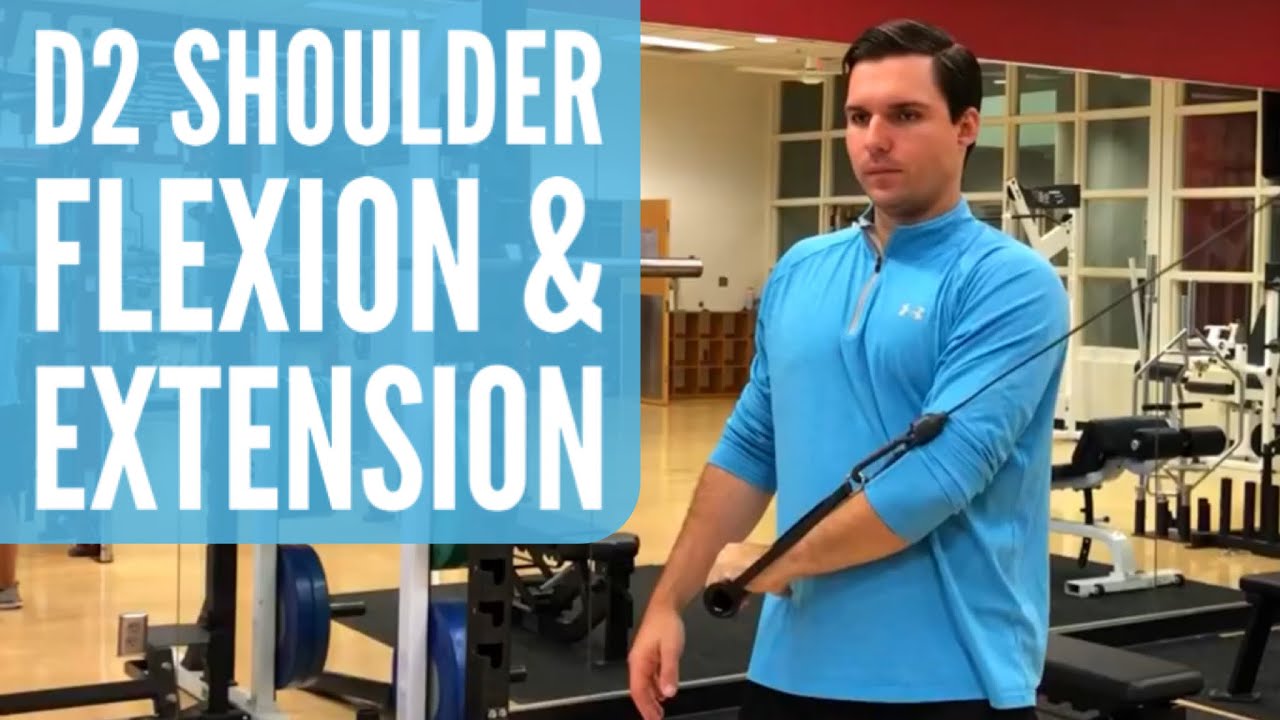 D2 Shoulder Flexion And Extension On Cable Machine Youtube