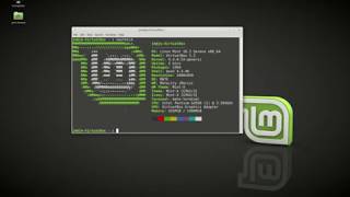 A cool Linux Mint screen output! "NeoFetch"