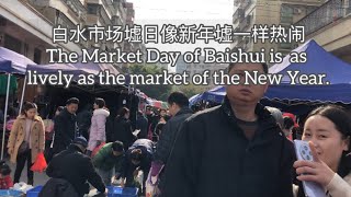 白水市场墟日像新年墟一样热闹The Market Day of Baishui is as lively as the market of the New Year探索台山363