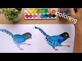 圓圈圈畫動物 5步驟畫台灣藍鵲how to draw a taiwan blue magpie 小松鼠愛畫畫