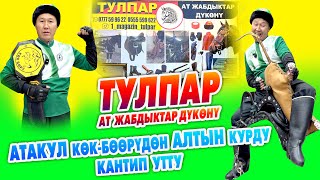 Бардык САЯПКЕРЛЕР, УЛАКЧЫЛАР, КӨКБӨРҮЧҮЛӨР келсин 🐎 Издегендин баары КЕЛДИ 🐎 Магазин ТОЛДУ 🐎 ТУЛПАР