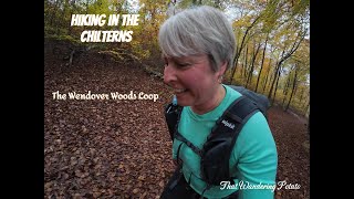 Hiking in the Chilterns - Wendover Loop