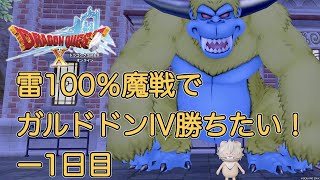 【ドラクエ10】雷100%魔戦でガルドドンIV勝ちたい‼️-１日目【初見さん歓迎】