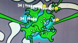 Swordz.io Max Level 34/34 All Evolutions Unlocked (Slime Warrior)