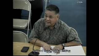 Public and Budget Hearing - Vice Speaker Benjamin J.F. Cruz - May 27, 2014 9:30am Pt.2