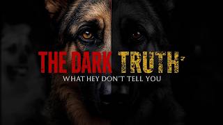 The DARK Truth About German Shepherds Nobody Tells You