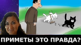 Приметы помогают ? Вся правда о суеверии!