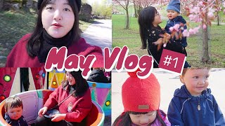 五月第一支周VLOG #1 | 芬兰公婆来做客 一起庆祝五一节啦！打卡樱花公园、青梅竹马去游乐园和水族馆、大型撒糖现场！