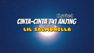 LIL SALMONELLA - CINTA-CINTA T41 ANJ*NG (Lyrics)