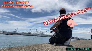 【ライトゲーム】清水港で根魚！青物を狙う‼️🎣リグ選択が釣果は変わる‼️直リグ、フリーリグ、ジグ単！