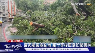 【康芮颱風】康芮颱後樹亂倒 騎士穿梭車潮如闖叢林｜TVBS新聞