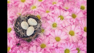 부활절 축하 메세지