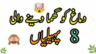 New 8 paheliyan 2021/riddles Urdu an Hindi/startv Urdu/general knowledge