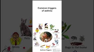 Common triggers of asthma