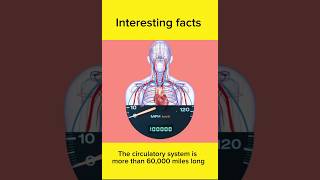 Interesting facts #short #viral #facts